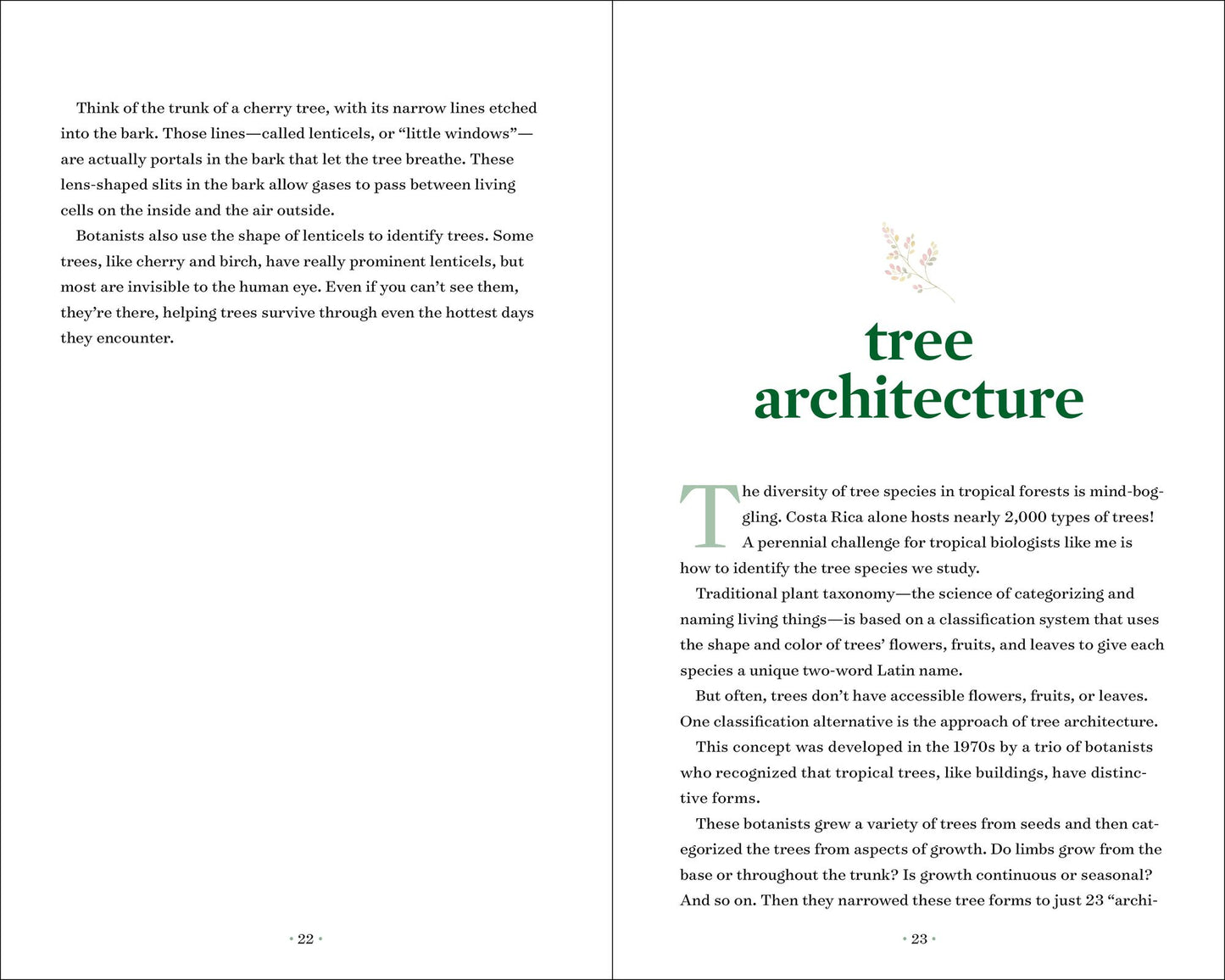 TreeNotes: A Year in the Company of Trees