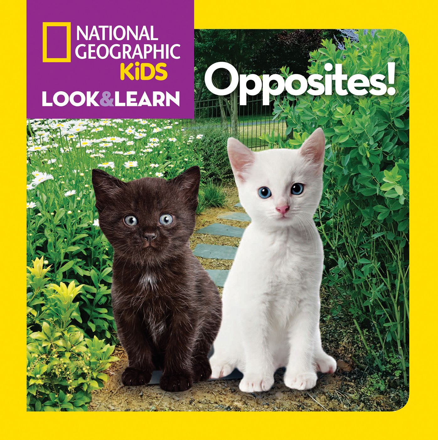 National Geographic Little Kids Look and Learn: Opposites!