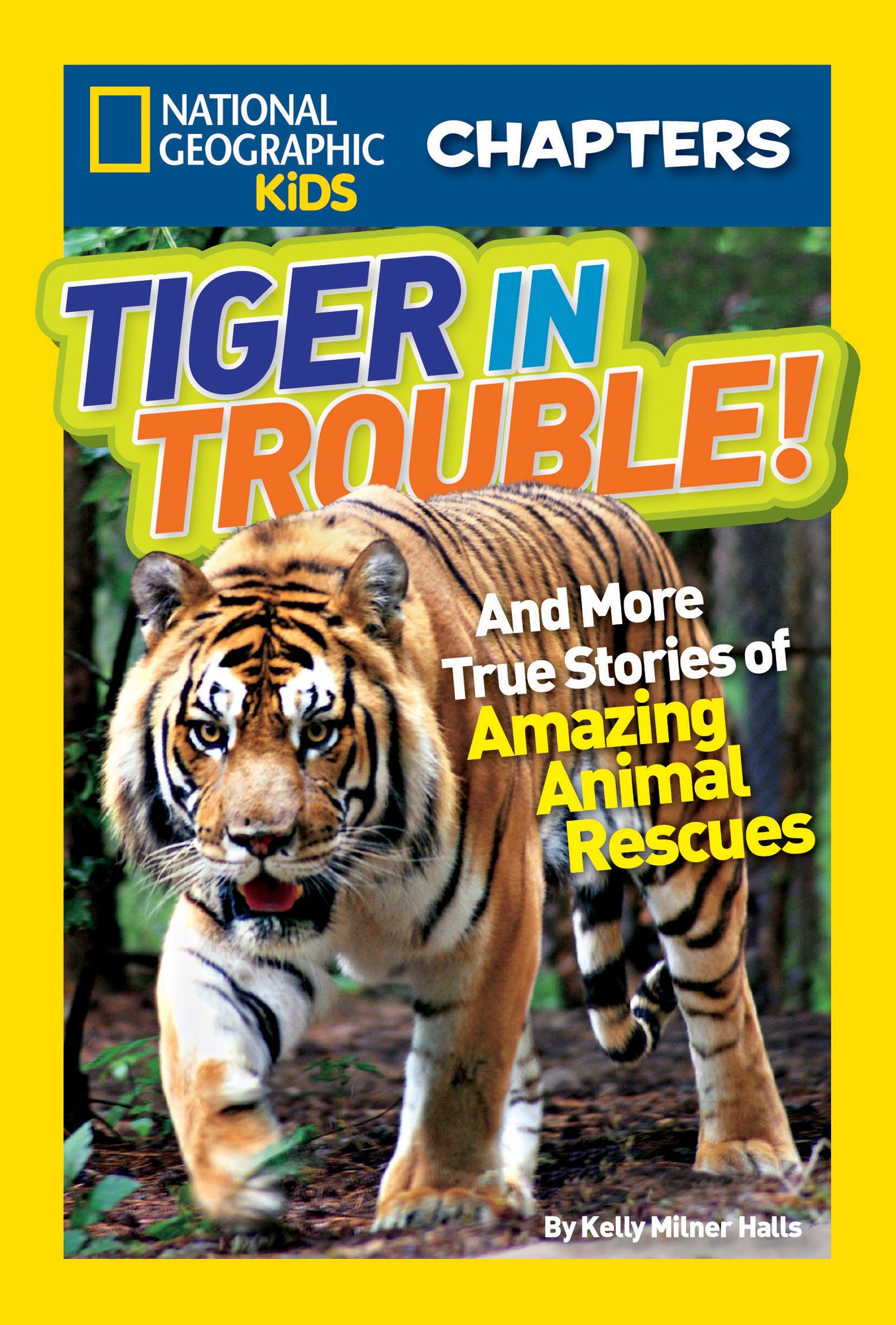 Tiger in Trouble! (National Geographic Chapters Series)