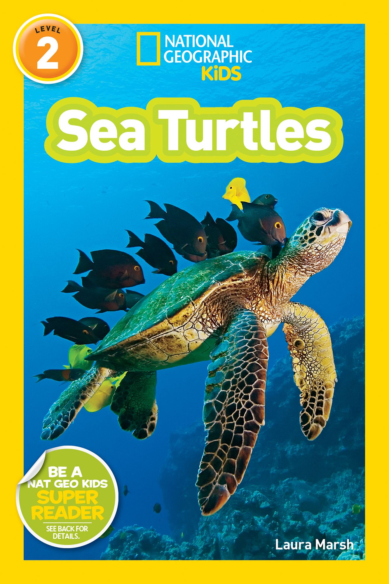 Sea Turtles: National Geographic Readers Series (Enhanced Edition)