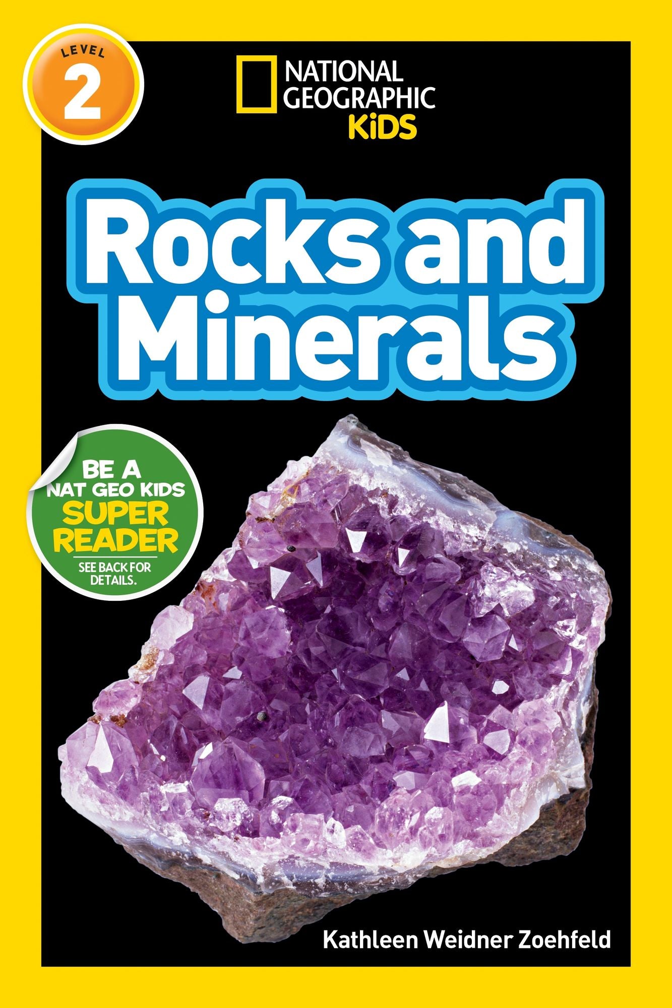 Rocks and Minerals: National Geographic Readers Series (Enhanced Edition)