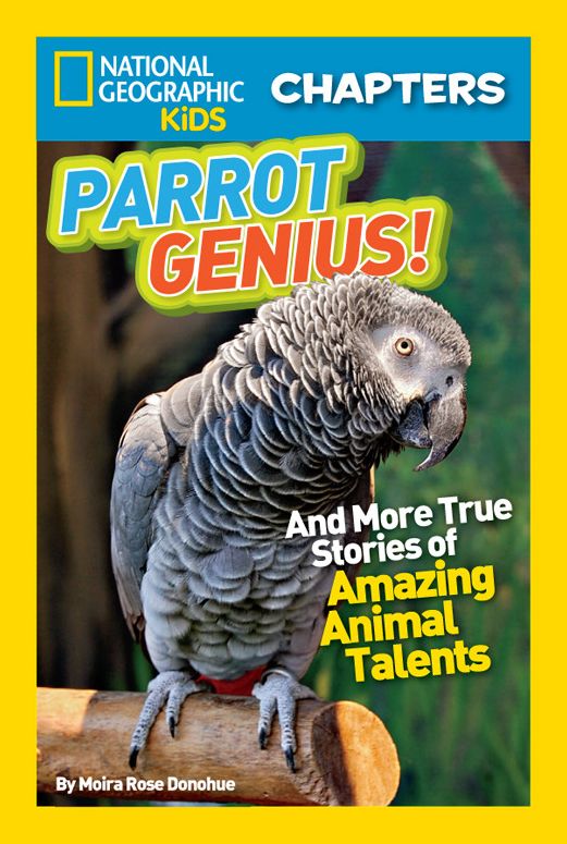 National Geographic Kids Chapters: Parrot Genius: And More True Stories of Amazing Animal Talents (NGK Chapters)