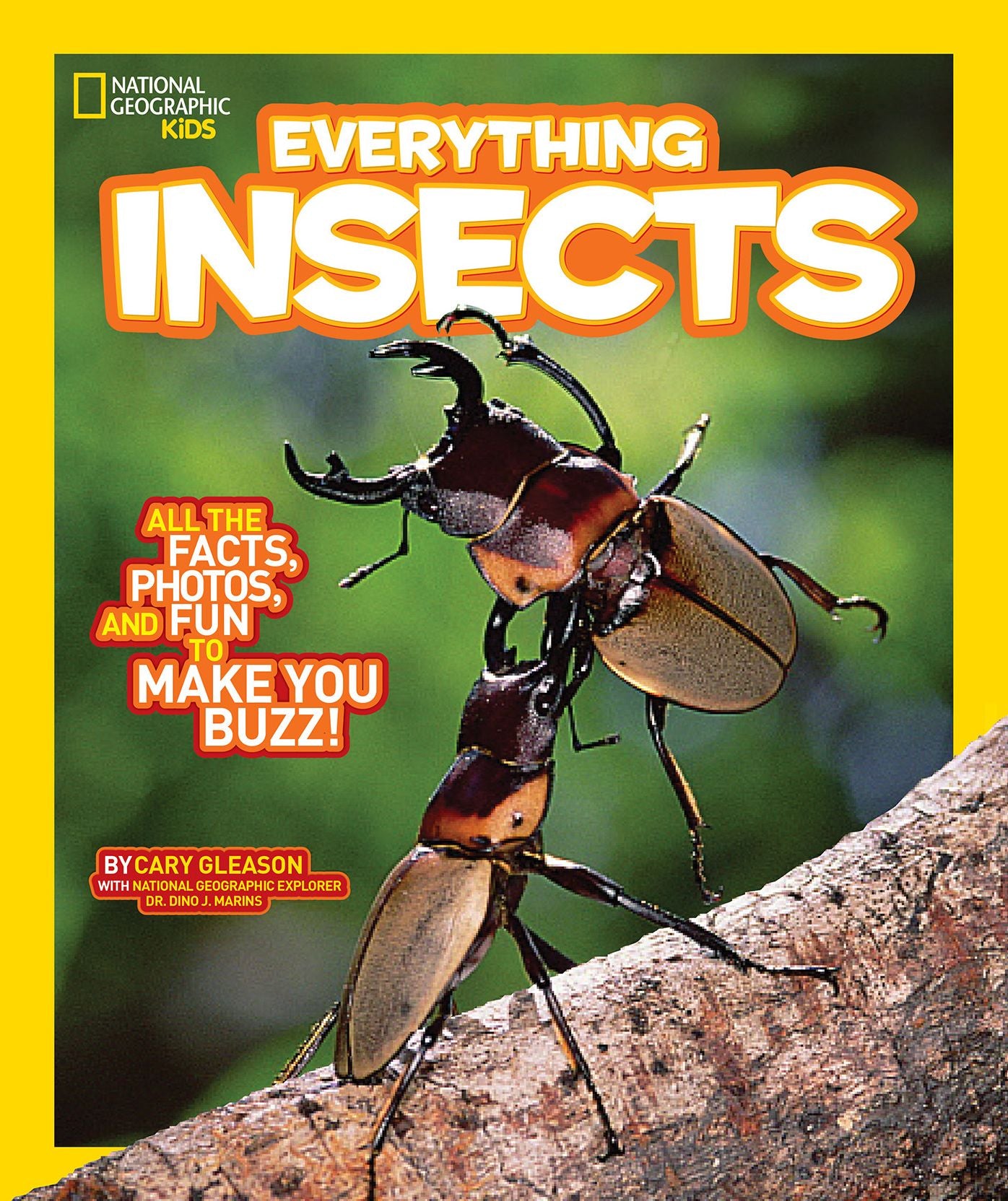 National Geographic Kids Everything Insects: All the Facts, Photos, and Fun to Make You Buzz