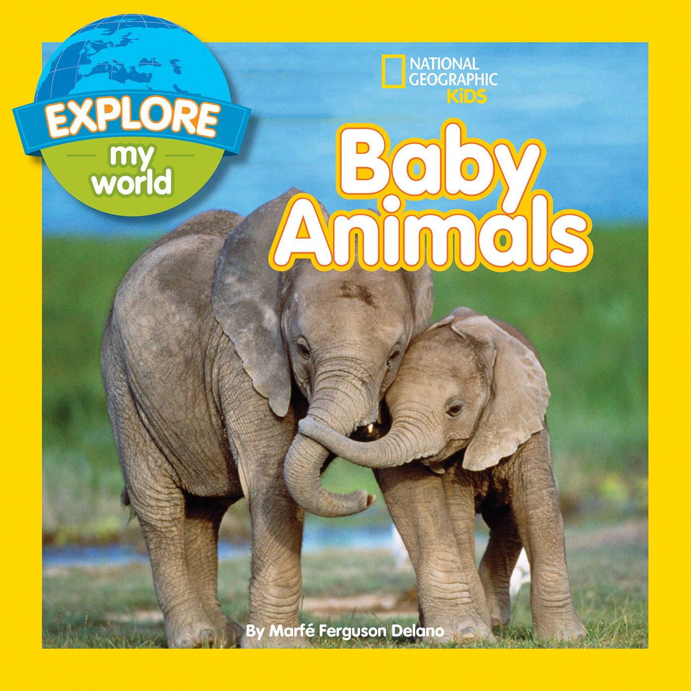 Baby Animals