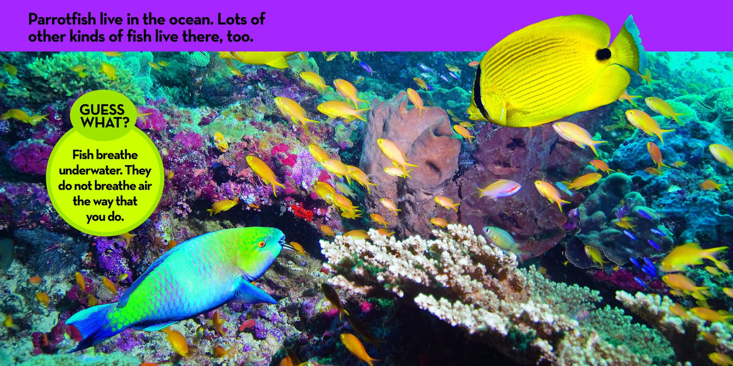 National Geographic Kids Look and Learn: Ocean Creatures