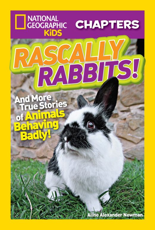 National Geographic Kids Chapters: Rascally Rabbits!: And More True Stories of Animals Behaving Badly