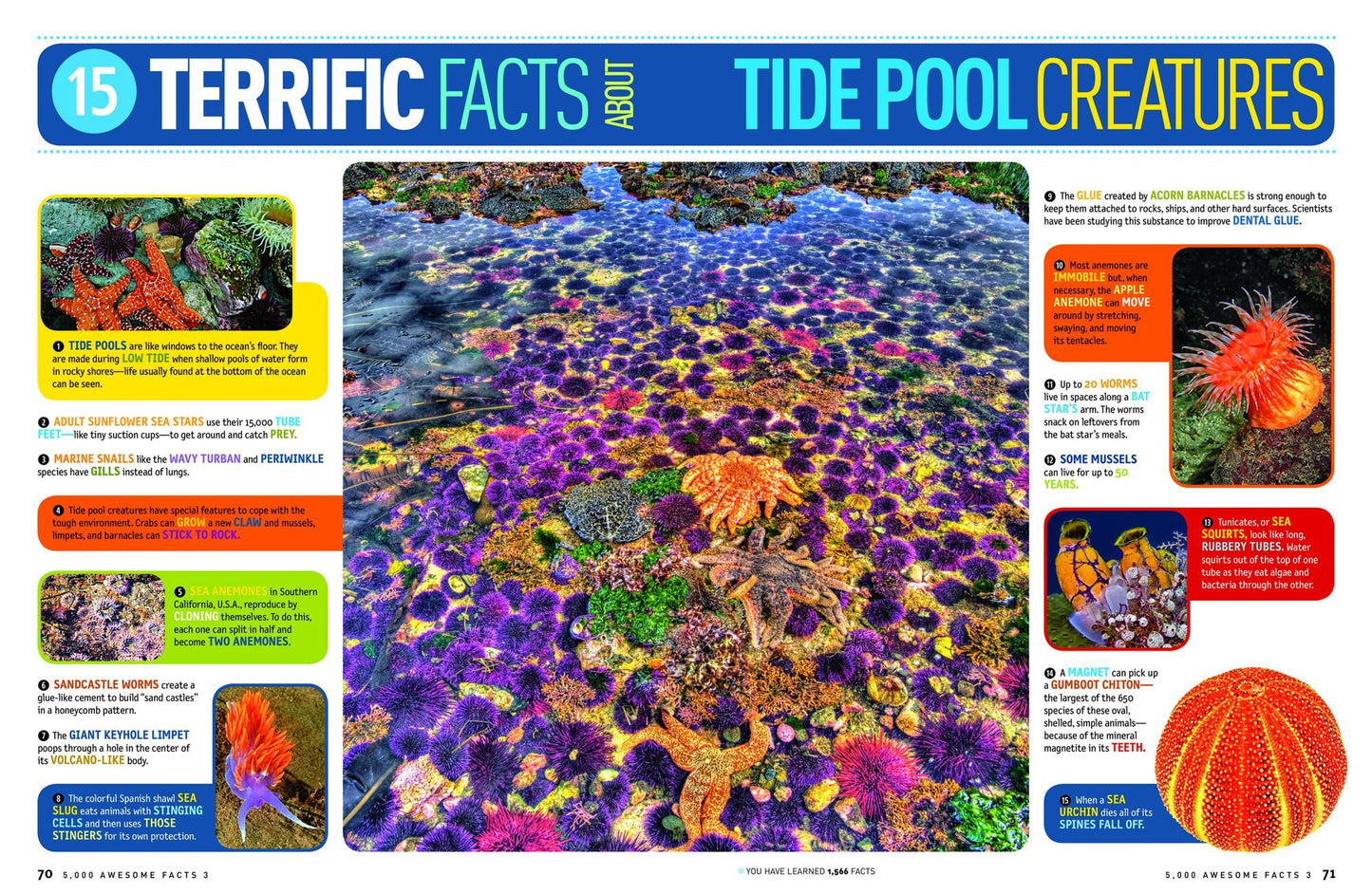 5,000 Awesome Facts 3 (About Everything!)