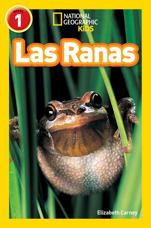 Las Ranas / Frogs