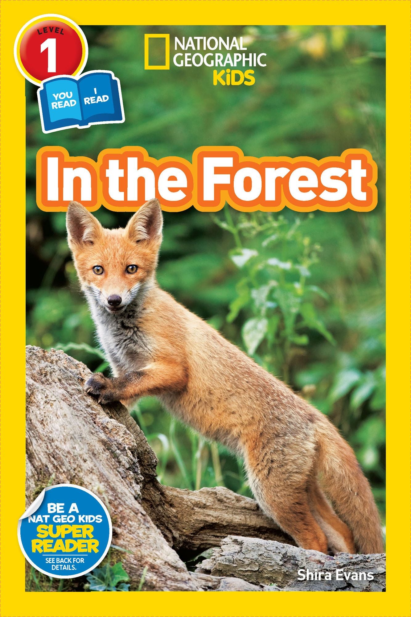 National Geographic Readers: In the Forest
