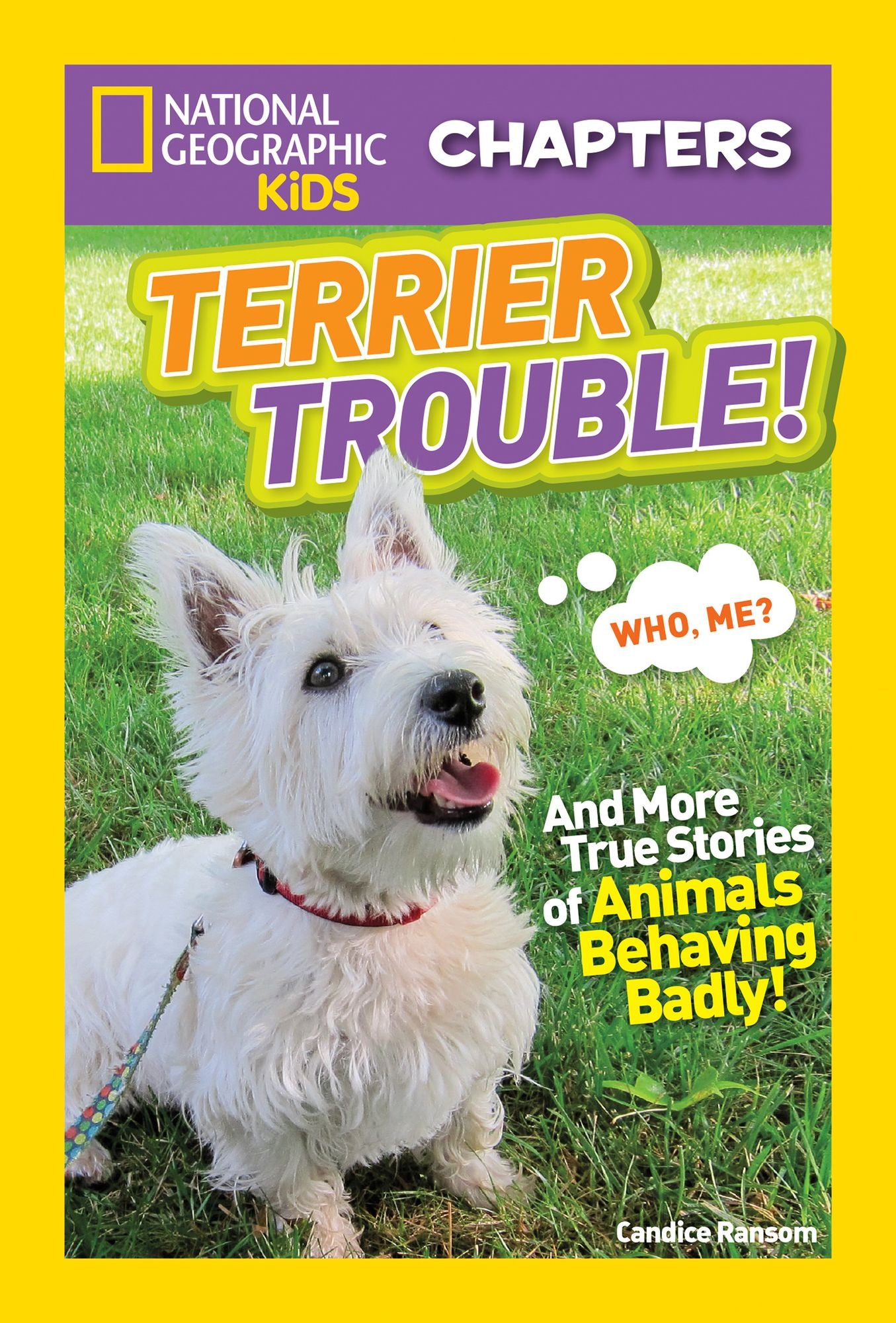 Terrier Trouble!: And More True Stories of Animals Behaving Badly (National Geographic Chapters Series)