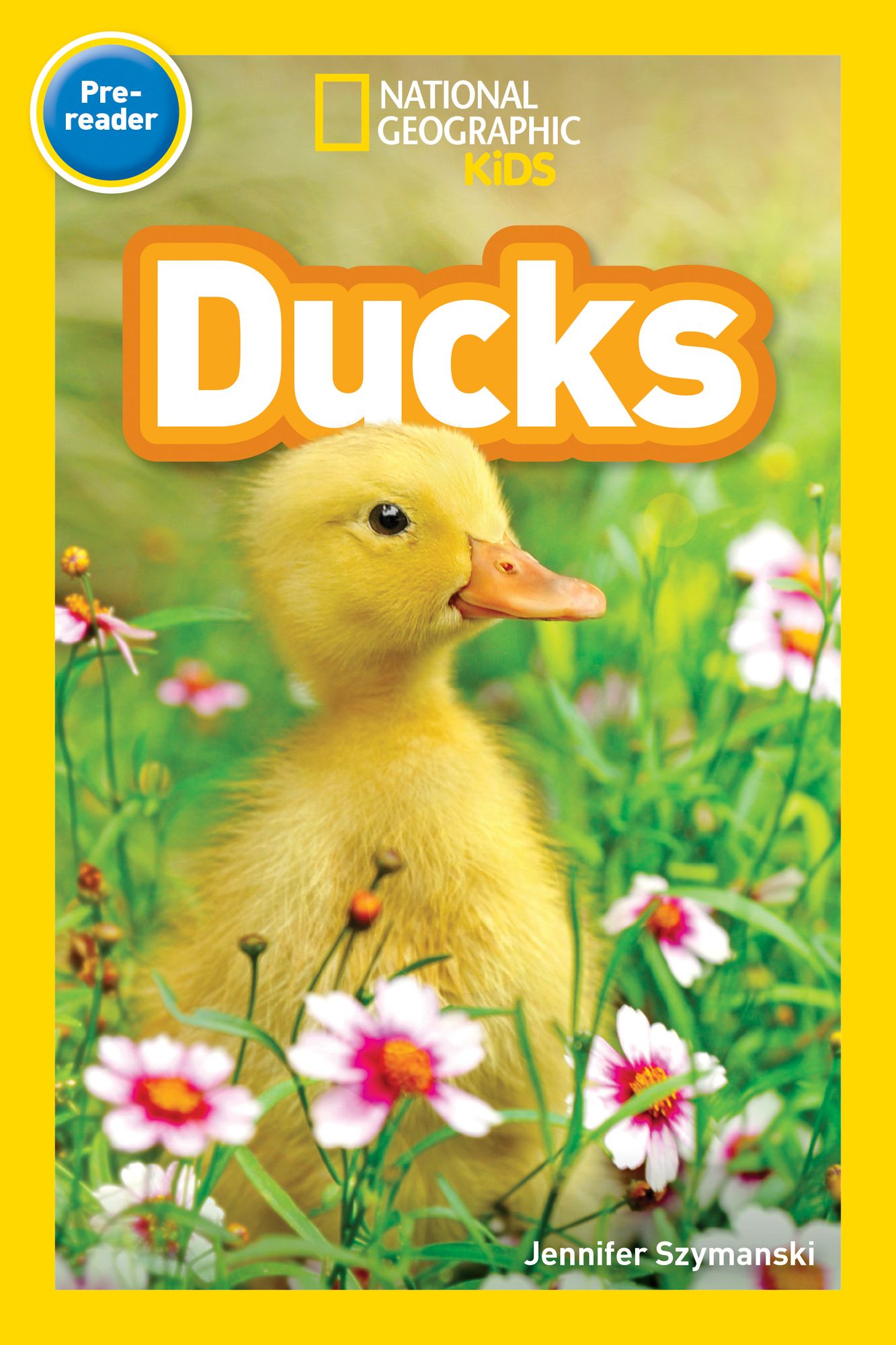 National Geographic Readers: Ducks (Pre-reader)