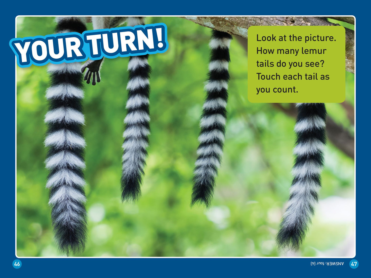 National Geographic Readers: Animal Tails (L1/Co-Reader)