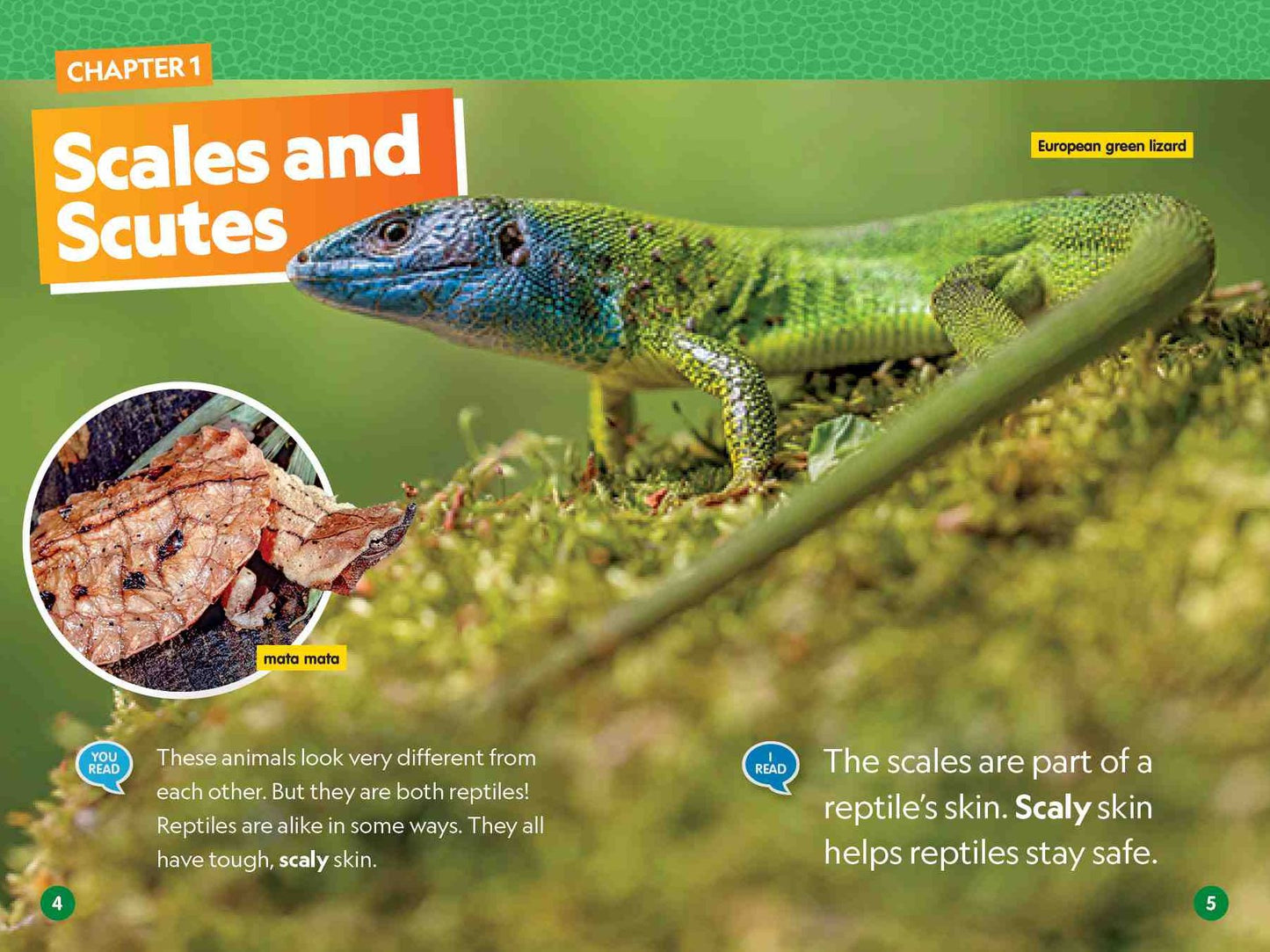 Reptiles (National Geographic Kids Readers, Level 1/Co-Reader)