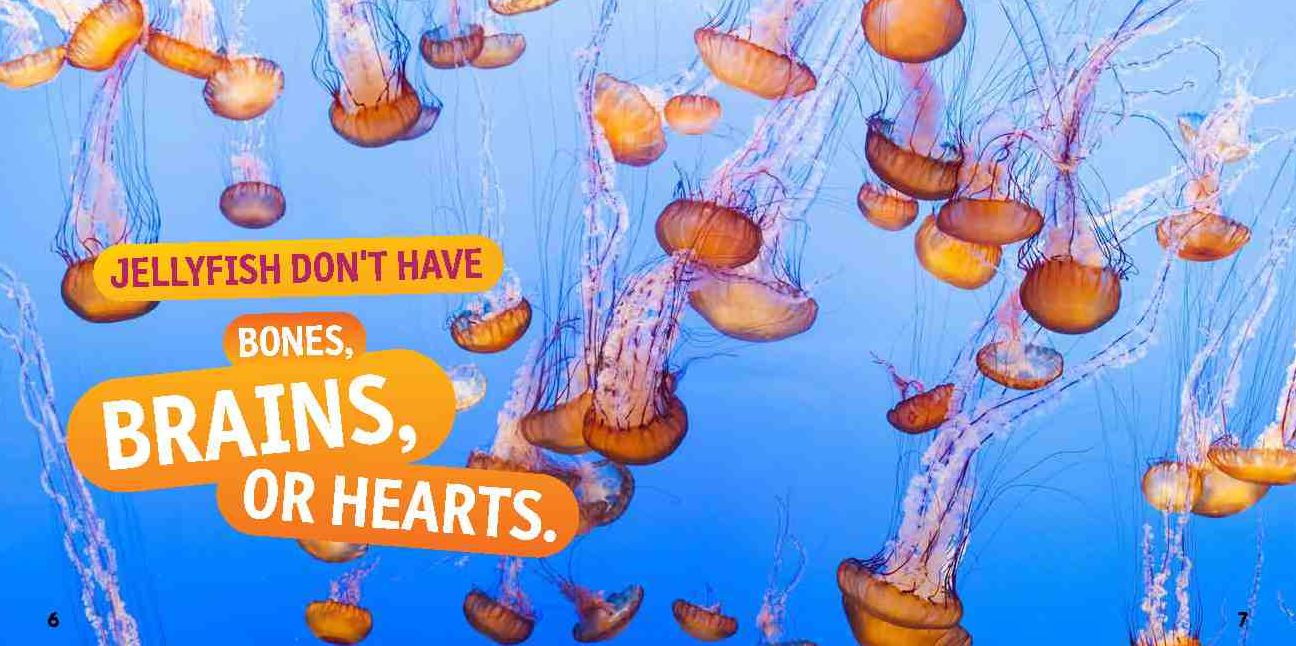 Weird But True Ocean