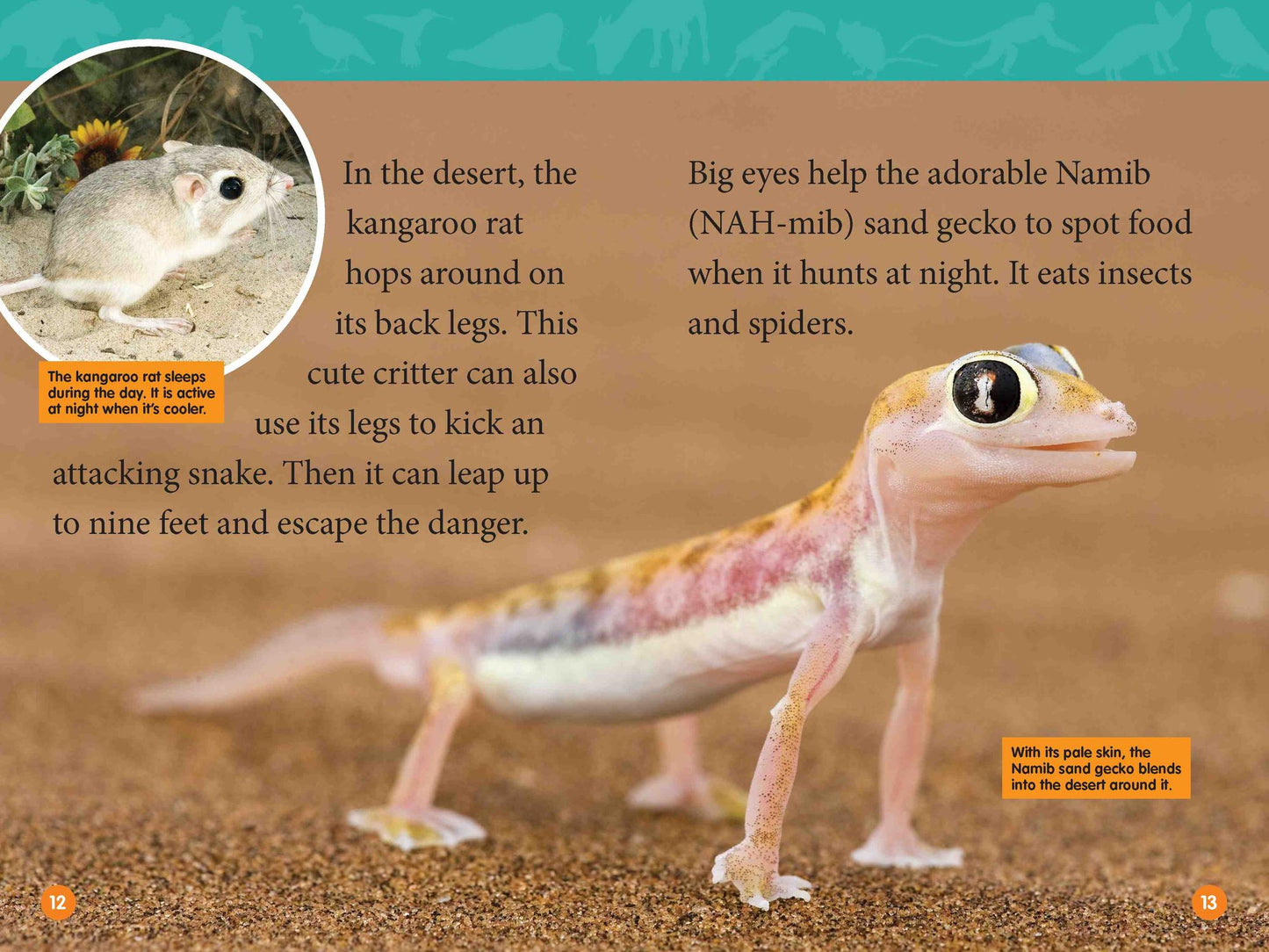 Adorable Animals: Level 2