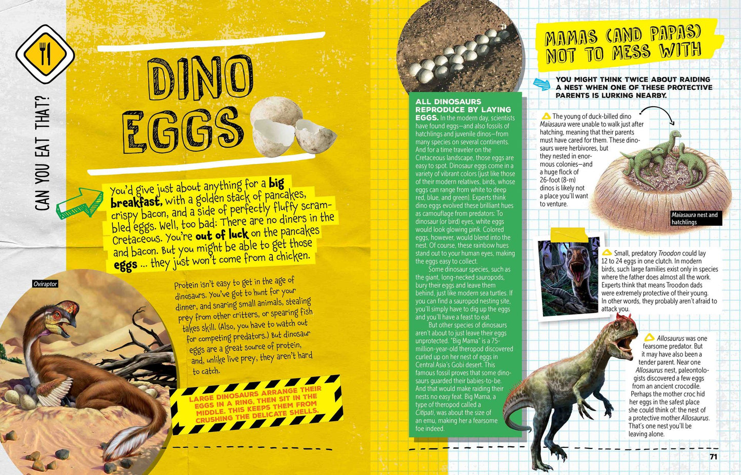 How to Survive in the Age of the Dinosaurs