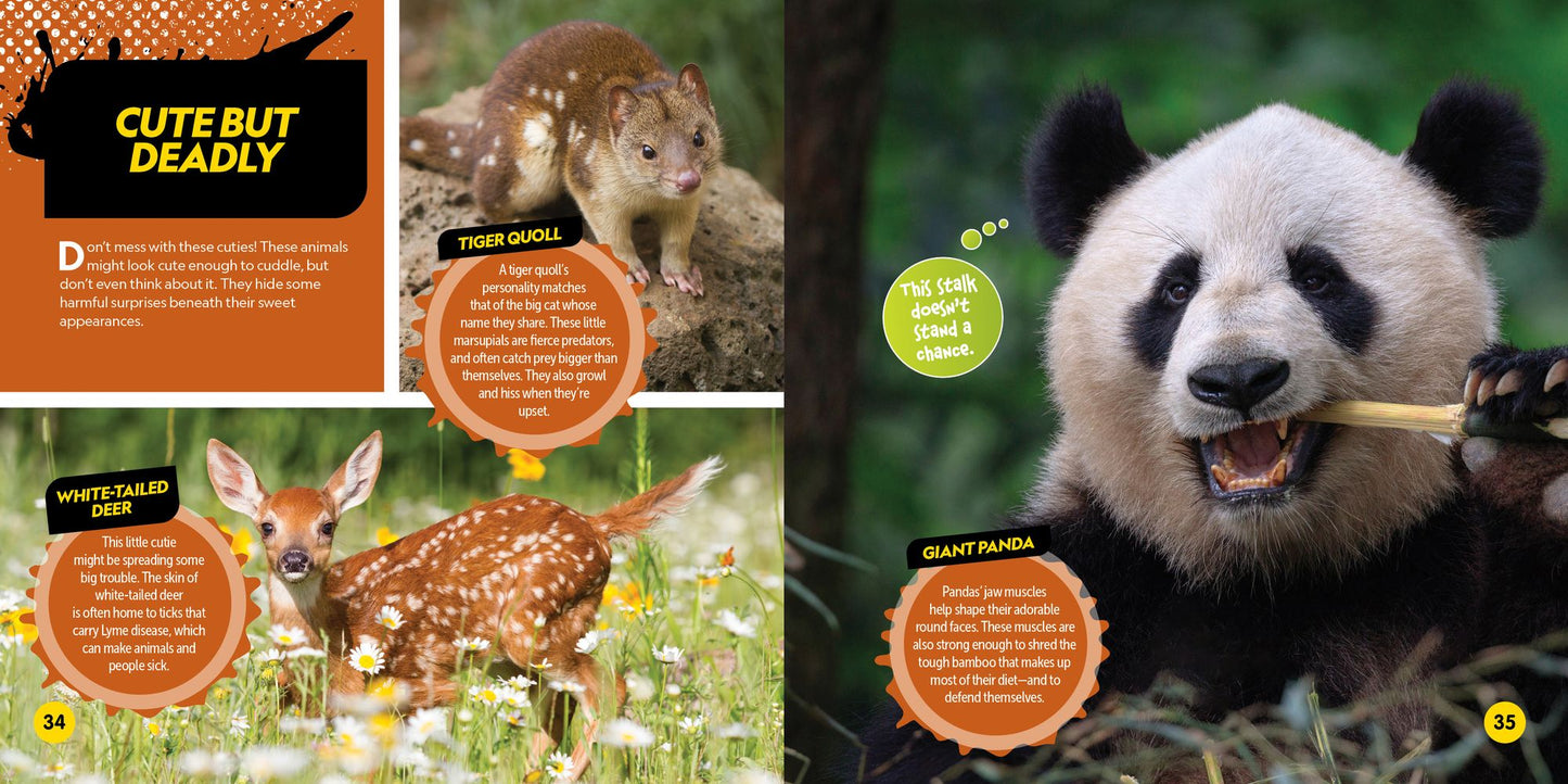 Deadliest Animals on the Planet