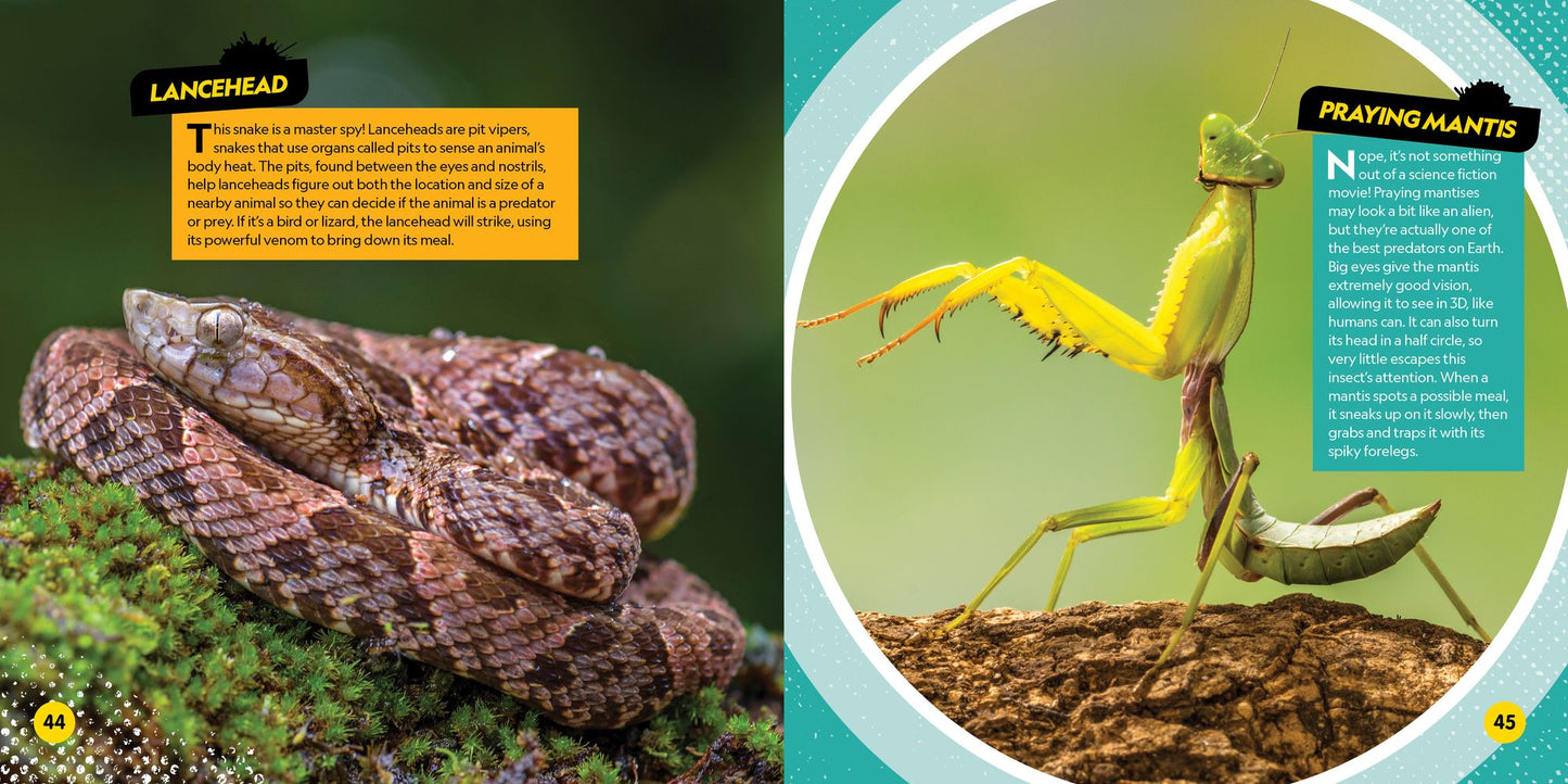 Deadliest Animals on the Planet