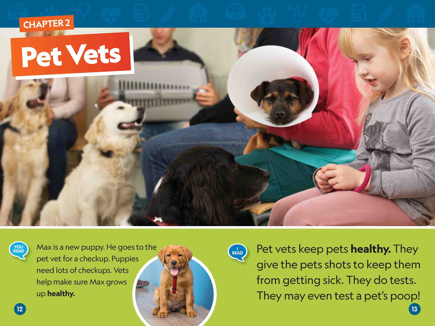 Animal Doctors (Level 1/Co-Reader)