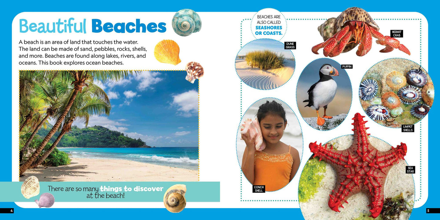 Explore the Beach