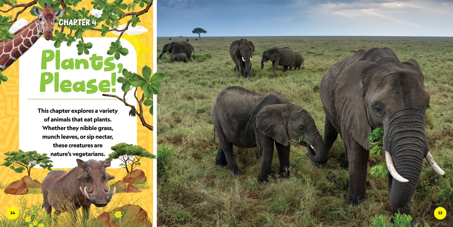National Geographic Little Kids First Big Book of African Animals
