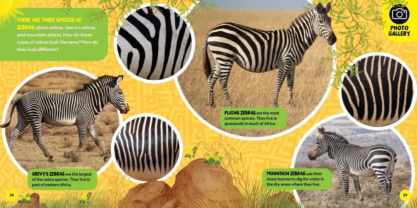 National Geographic Little Kids First Big Book of African Animals