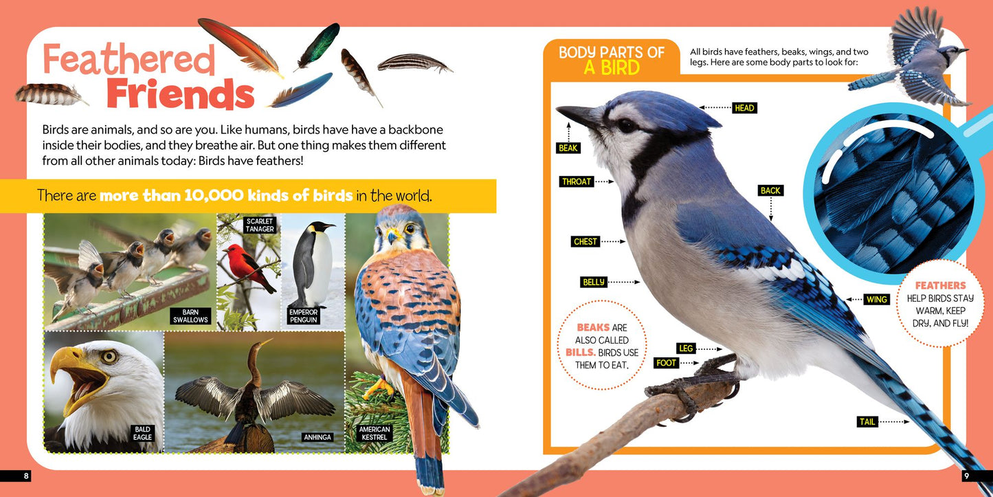 Little Kids First Nature Guide Birds
