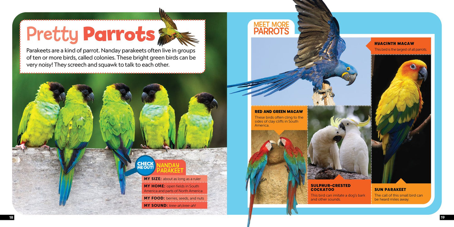 Little Kids First Nature Guide Birds