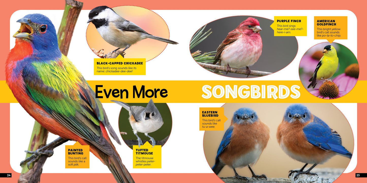Little Kids First Nature Guide Birds
