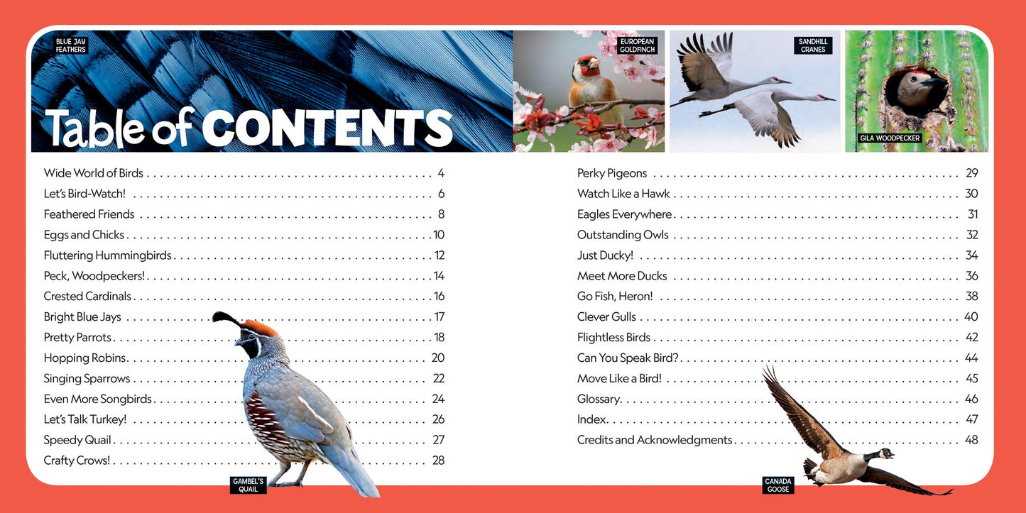 Little Kids First Nature Guide Birds