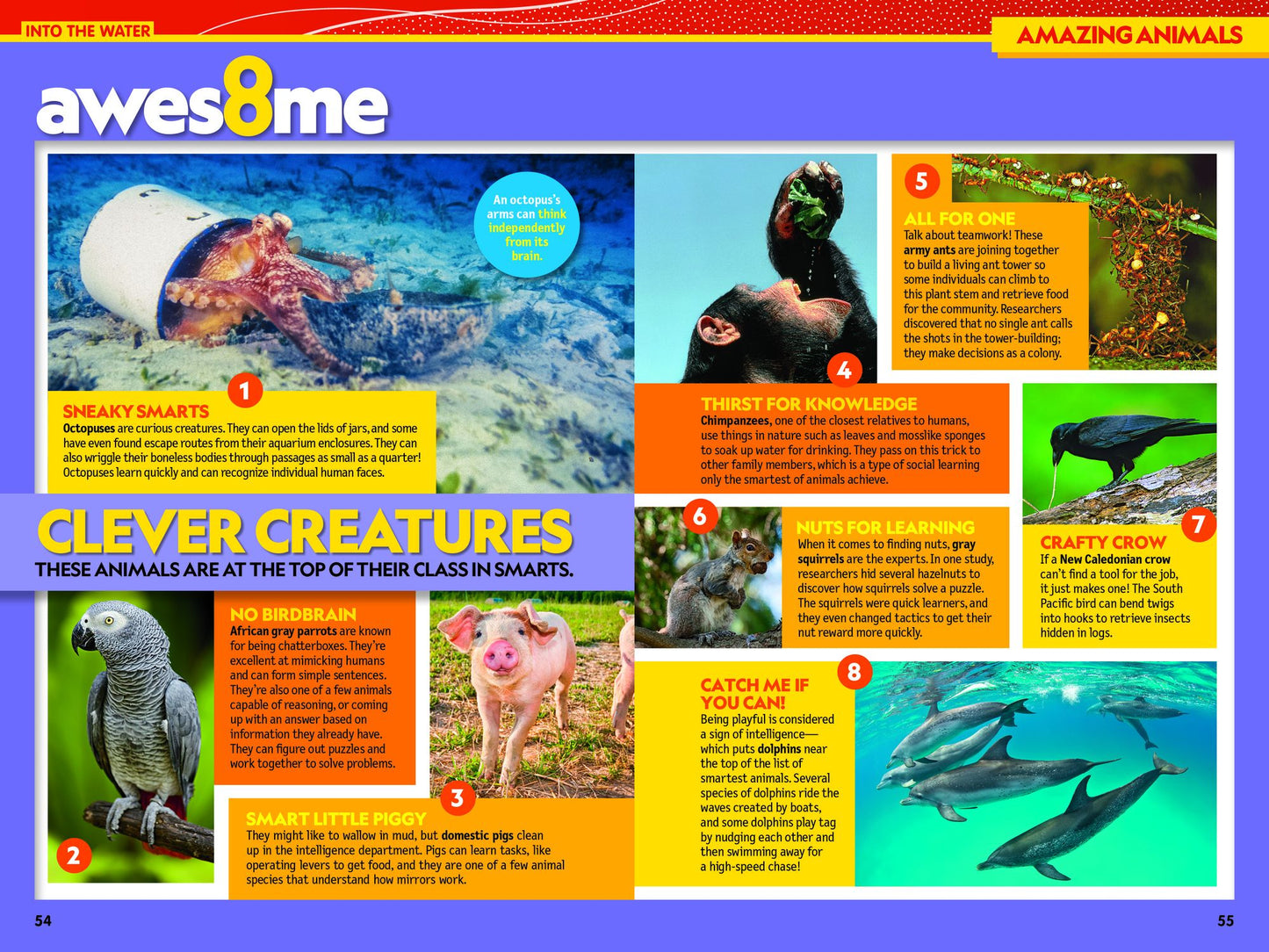National Geographic Kids Almanac 2026