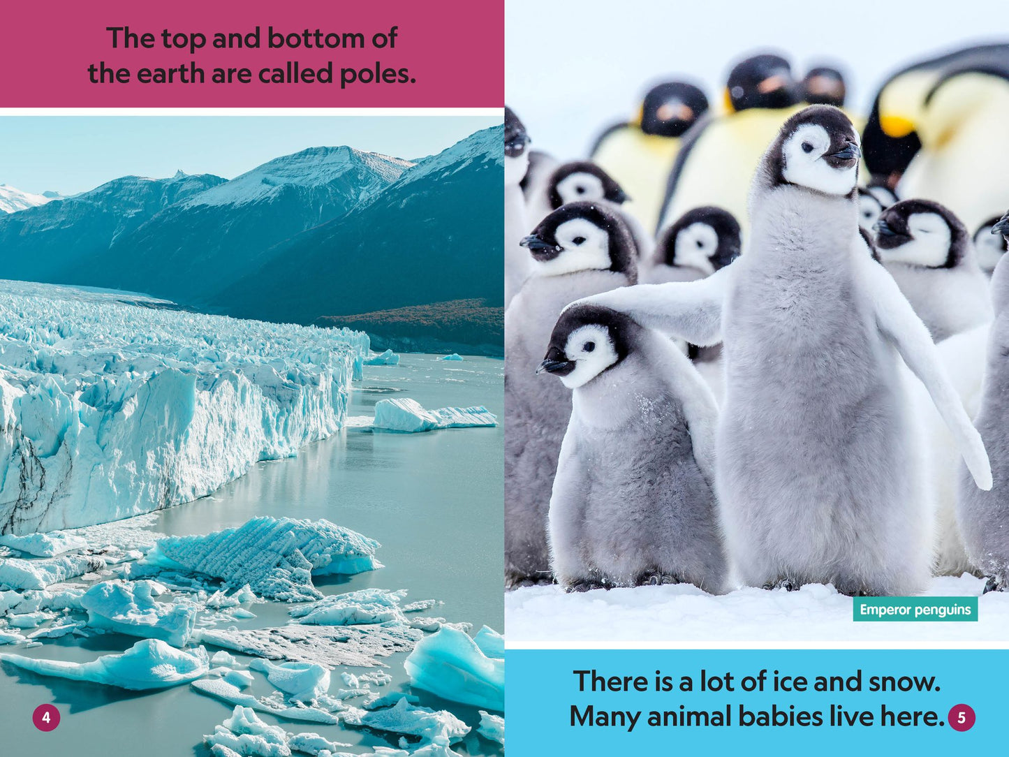 National Geographic Readers: Polar Babies (Pre-Reader)