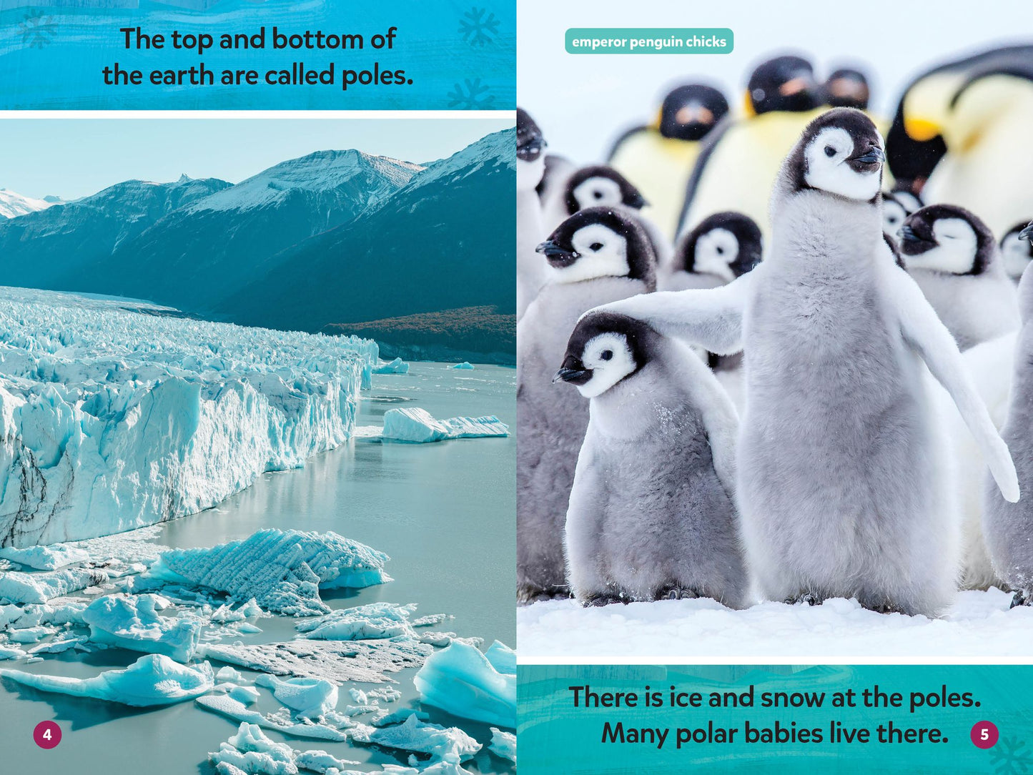 National Geographic Readers: Polar Babies (Pre-Reader)
