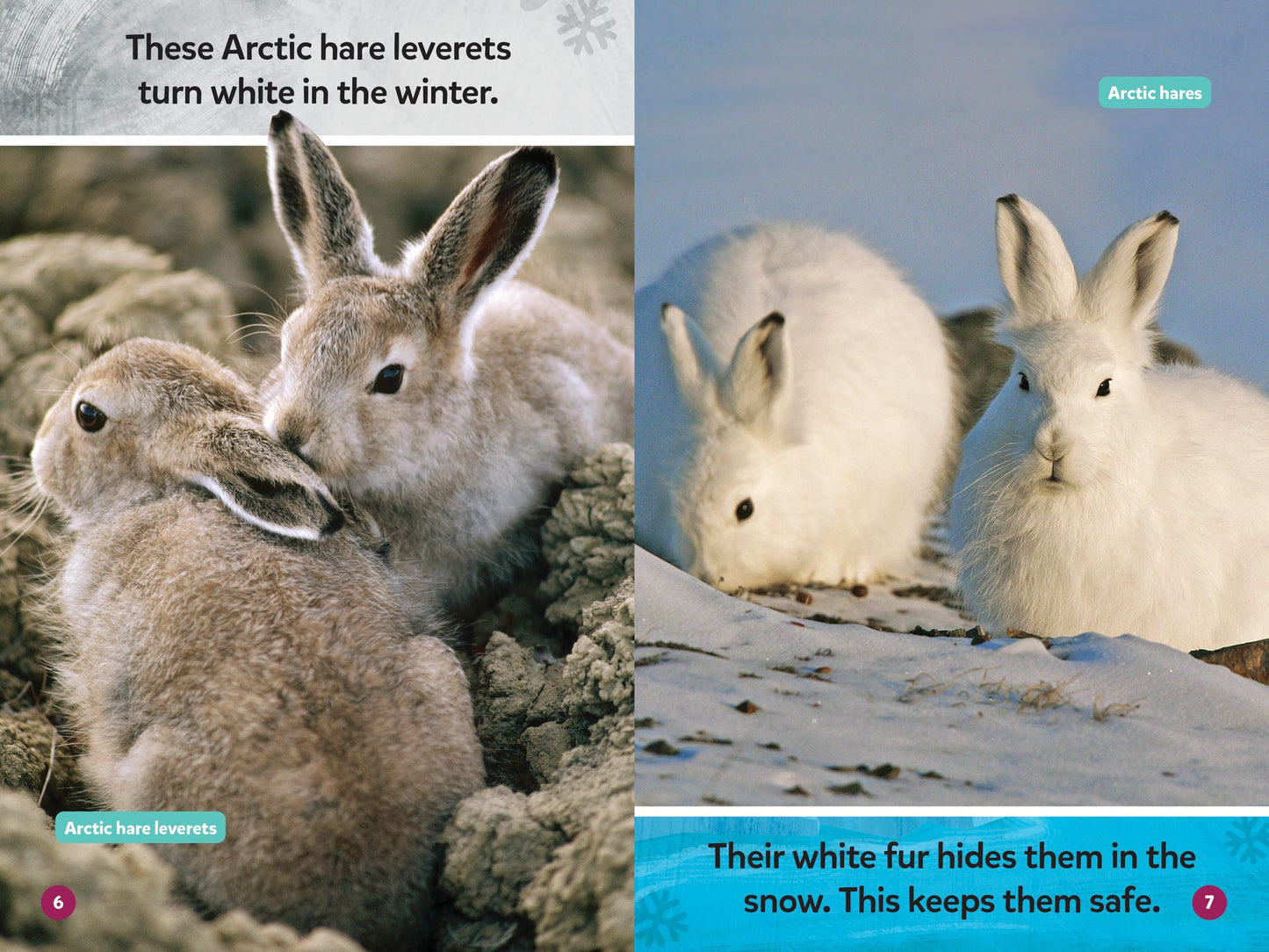 National Geographic Readers: Polar Babies (Pre-Reader)