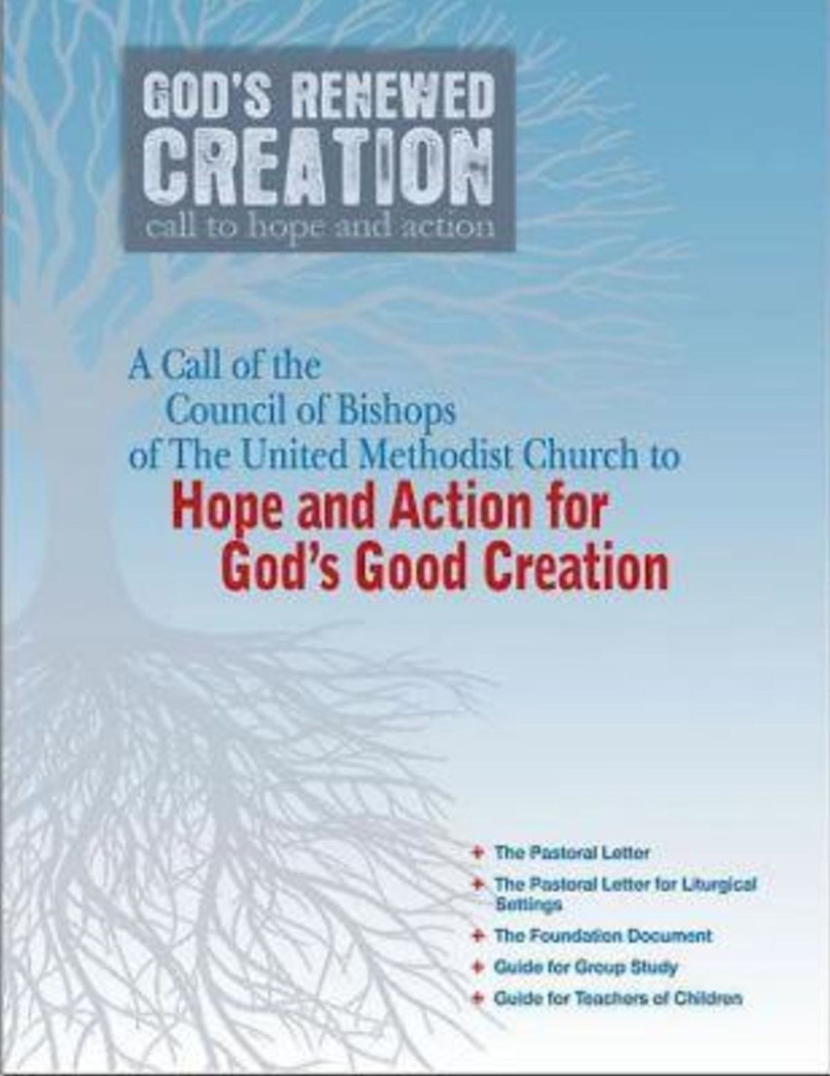 Gods Renewed Creation Call To Hope And Action