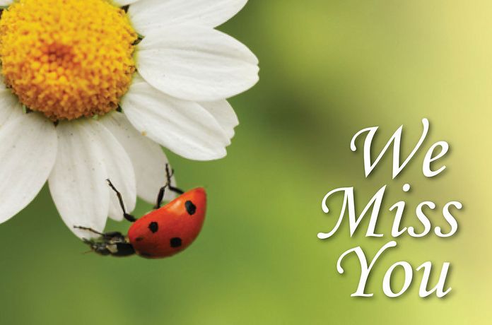 We Miss You Ladybug Postcard (Pkg of 25)