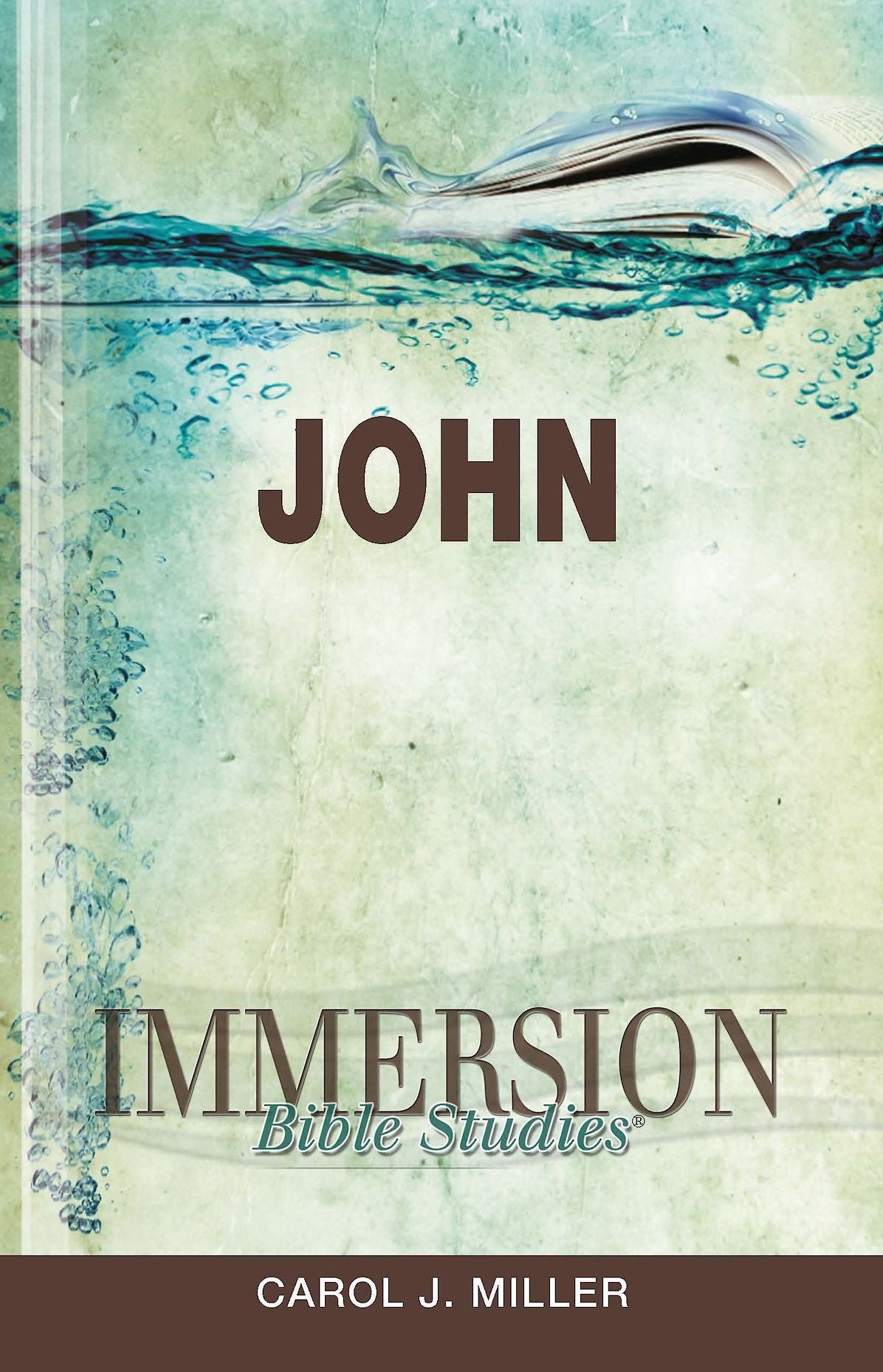 Immersion Bible Studies: John