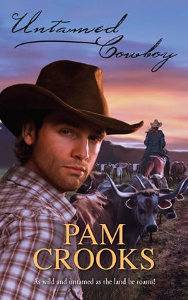 Untamed Cowboy (Harlequin Historical #857)