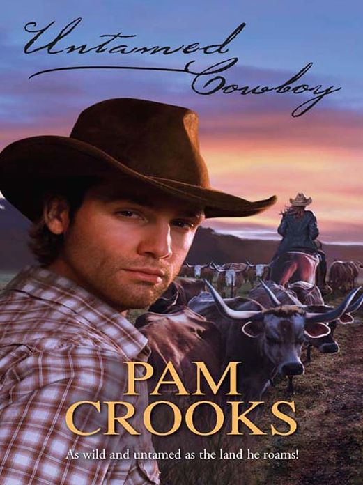Untamed Cowboy (Harlequin Historical #857)