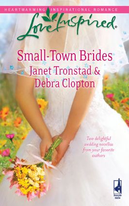Small-Town Brides: A Dry Creek Wedding/A Mule Hollow Match (Love Inspired Series)