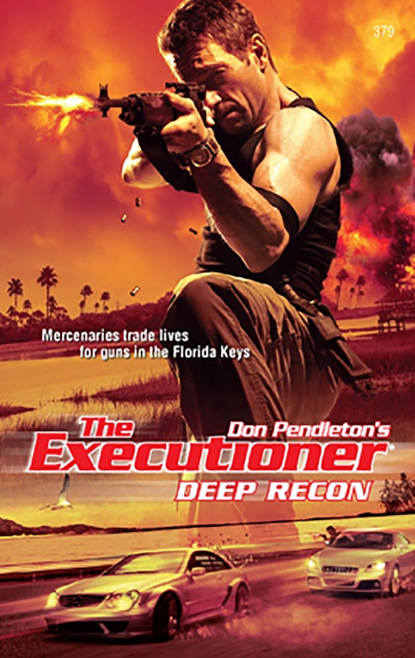 Deep Recon (Executioner Series #379)