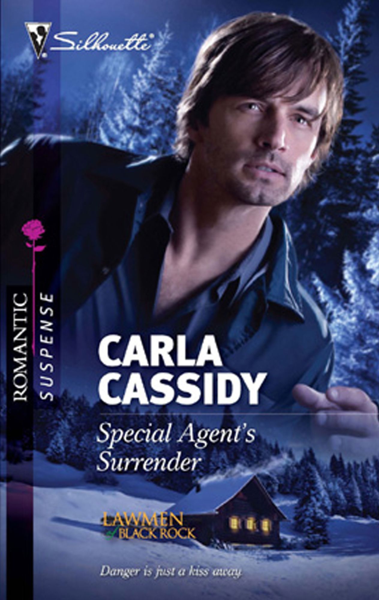 Special Agent's Surrender (Silhouette Romantic Suspense #1648)