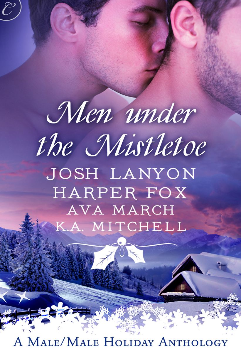 Men Under the Mistletoe: Lone StarWinter KnightsMy True Love Gave to MeThe Christmas Proposition