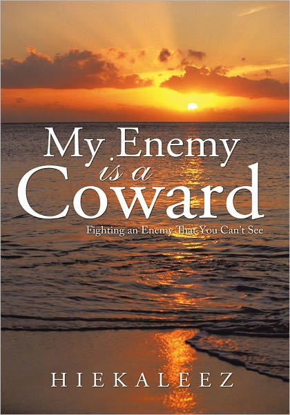 My Enemy is a Coward: Fighting an Enemy That You Can't See