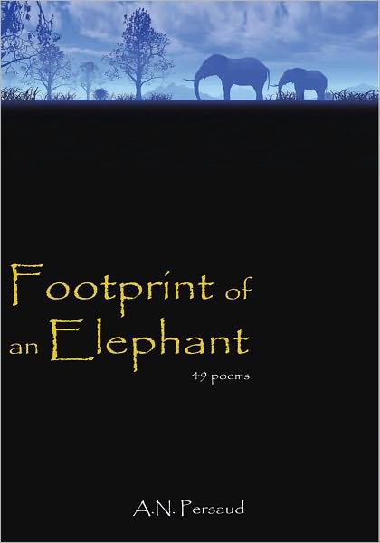 Footprint of an Elephant