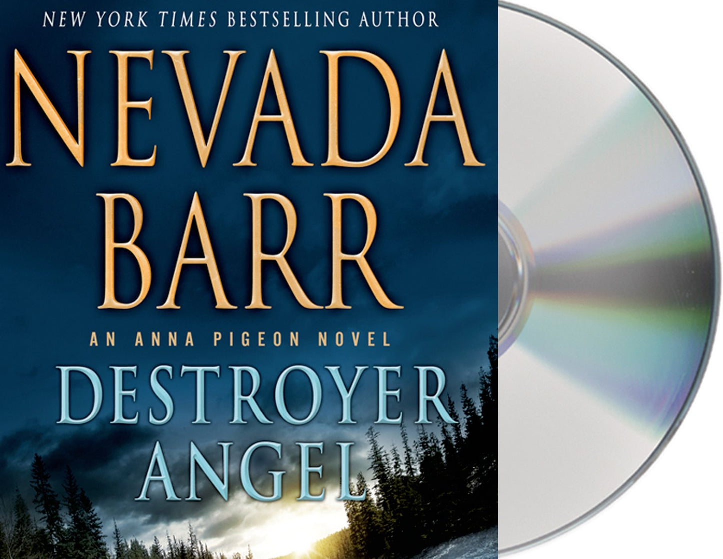 Destroyer Angel (Anna Pigeon Series #18)