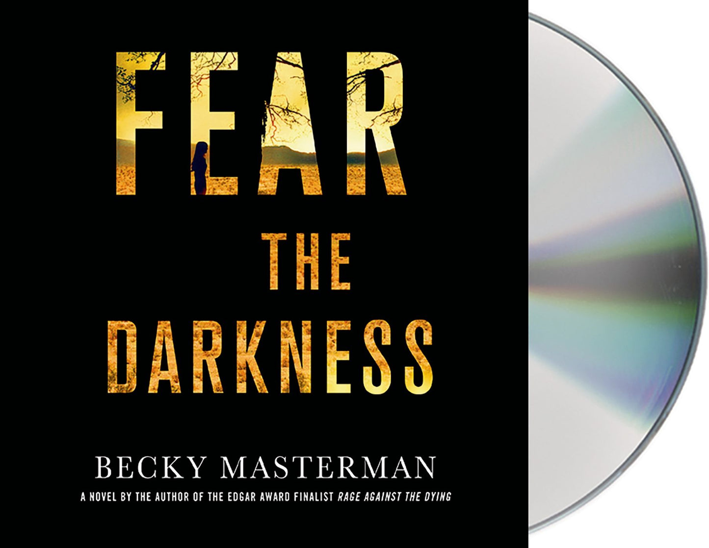 Fear the Darkness (Brigid Quinn Series #2)