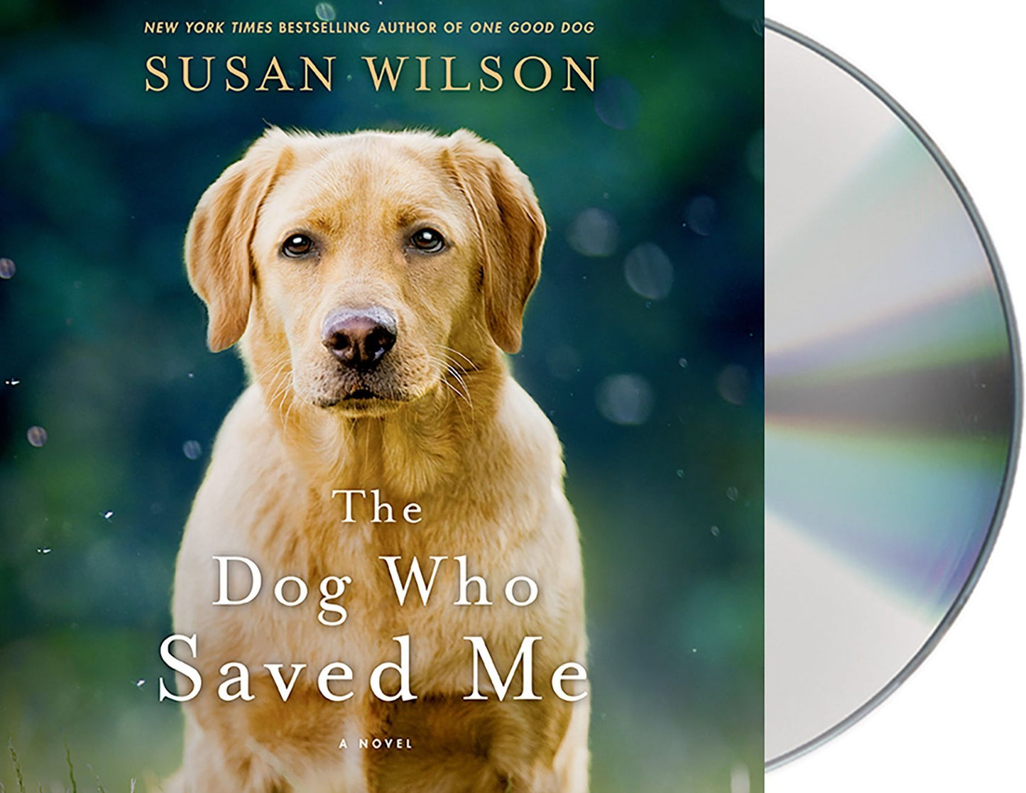 The Dog Who Saved Me