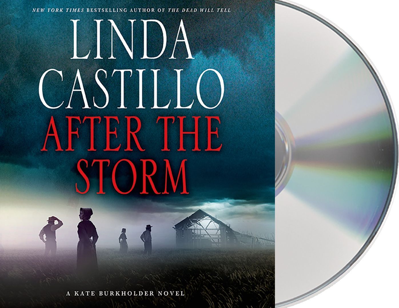 After the Storm (Kate Burkholder Series #7)