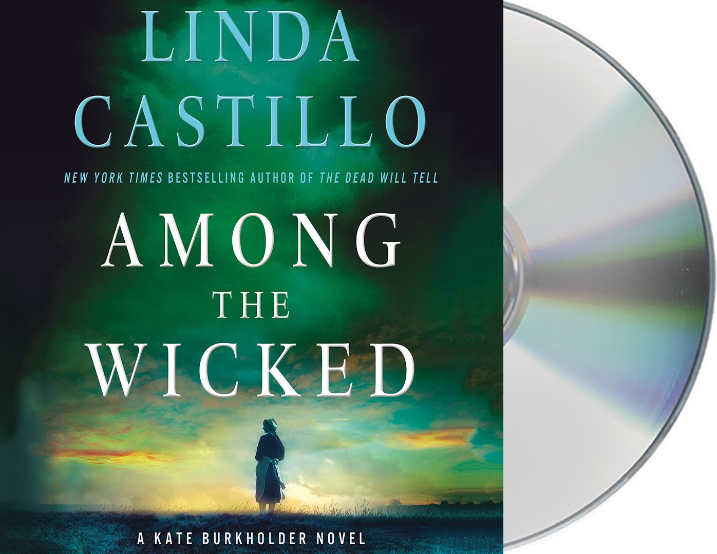 Among the Wicked (Kate Burkholder Series #8)